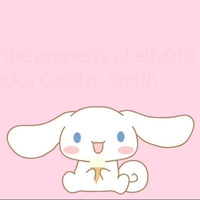 Part of the Kawaii Culture - Cinnamoroll Merch